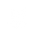 owl02